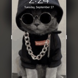 Zachary Brissett-Young